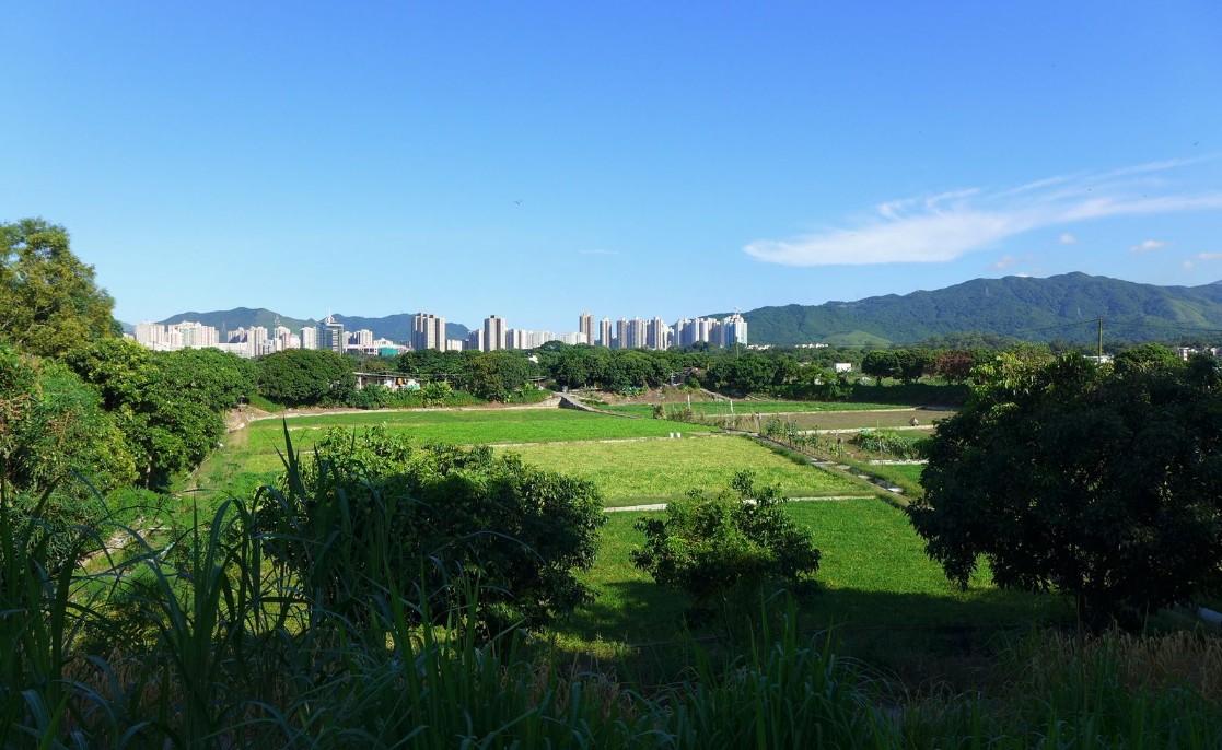 PARK SILICON 交通位置